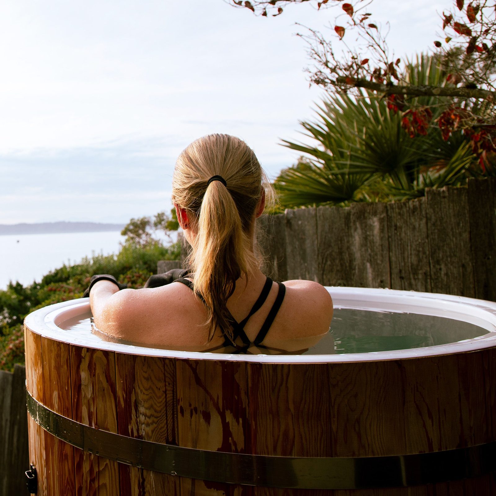 Cabin Outdoor Sauna x Alaskan All-In-One Cold Plunge